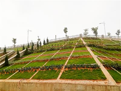 Thiết kế thi công công trình cảnh quan đô thị tỉnh Lào Cai