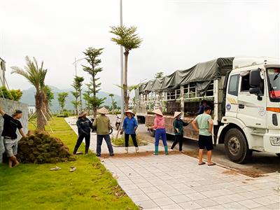 Thiết kế thi công công trình cảnh quan đô thị tỉnh Lào Cai