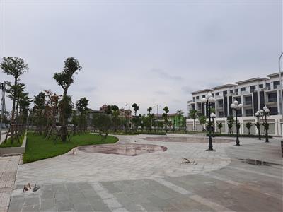 Thiết kế thi công cảnh quan công trình vườn sen